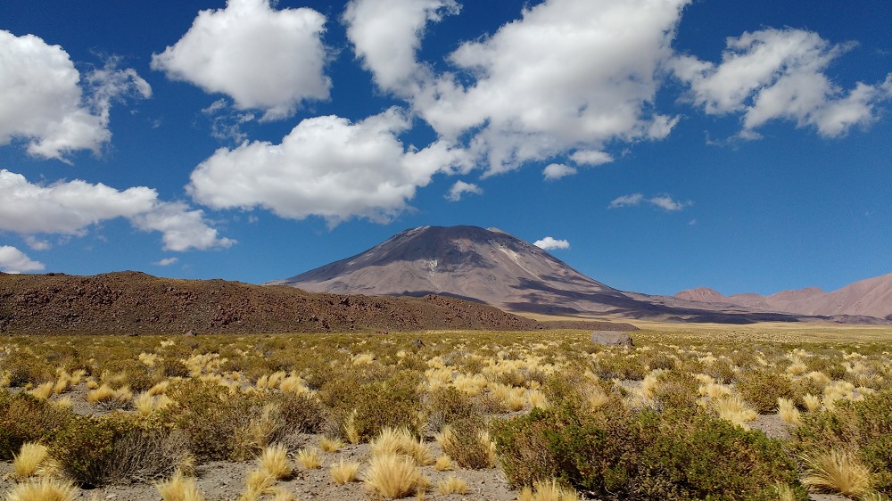 ibiochile's tweet photo. ¡Muy buenas noticias! Investigadores del @iBioChile y Estados Unidos estudiaron las bases moleculares de plantas que crecen en el desierto de Atacama. Los detalles en el siguiente link: https://t.co/9yLr2jYWnf 📸 de Melissa Aguilar @CMMUChile @CentrosAnid @PNASNews @Rodrigo_G_I https://t.co/8qQPdy9Wi2