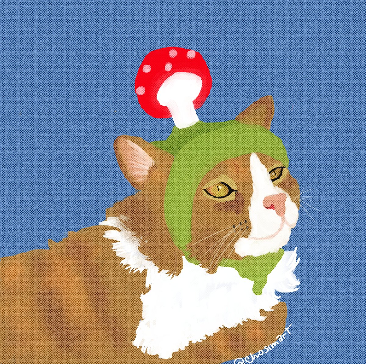 chosimart's tweet photo. Love him 🍄

#catillustration #catmeme #digitalpainting #drawing https://t.co/VIDcRoO0zy