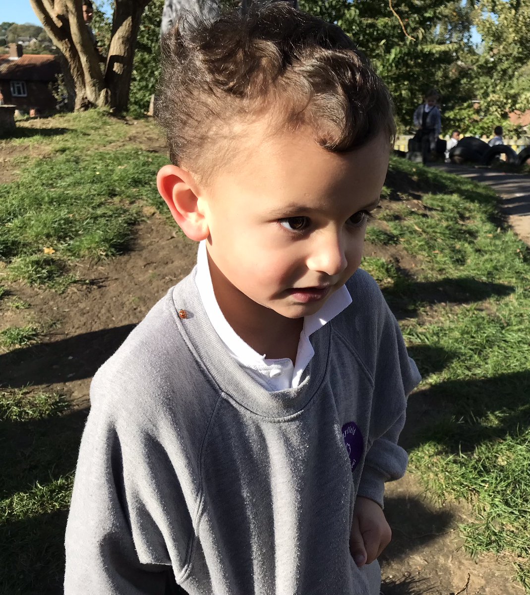 Mrs Pettman Wayfield Primary School Year 3 tweet media