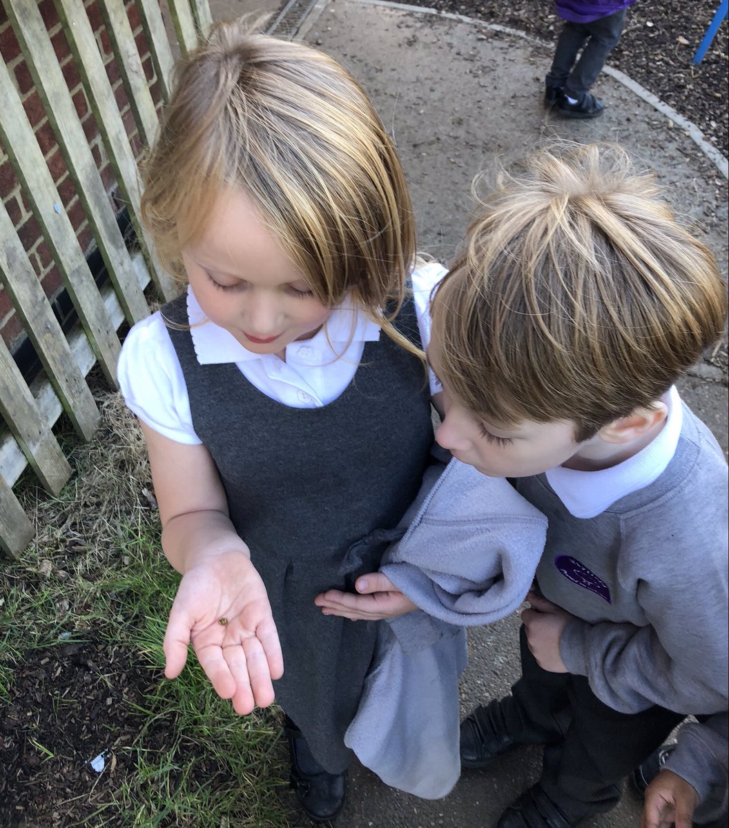 Mrs Pettman Wayfield Primary School Year 3 tweet media