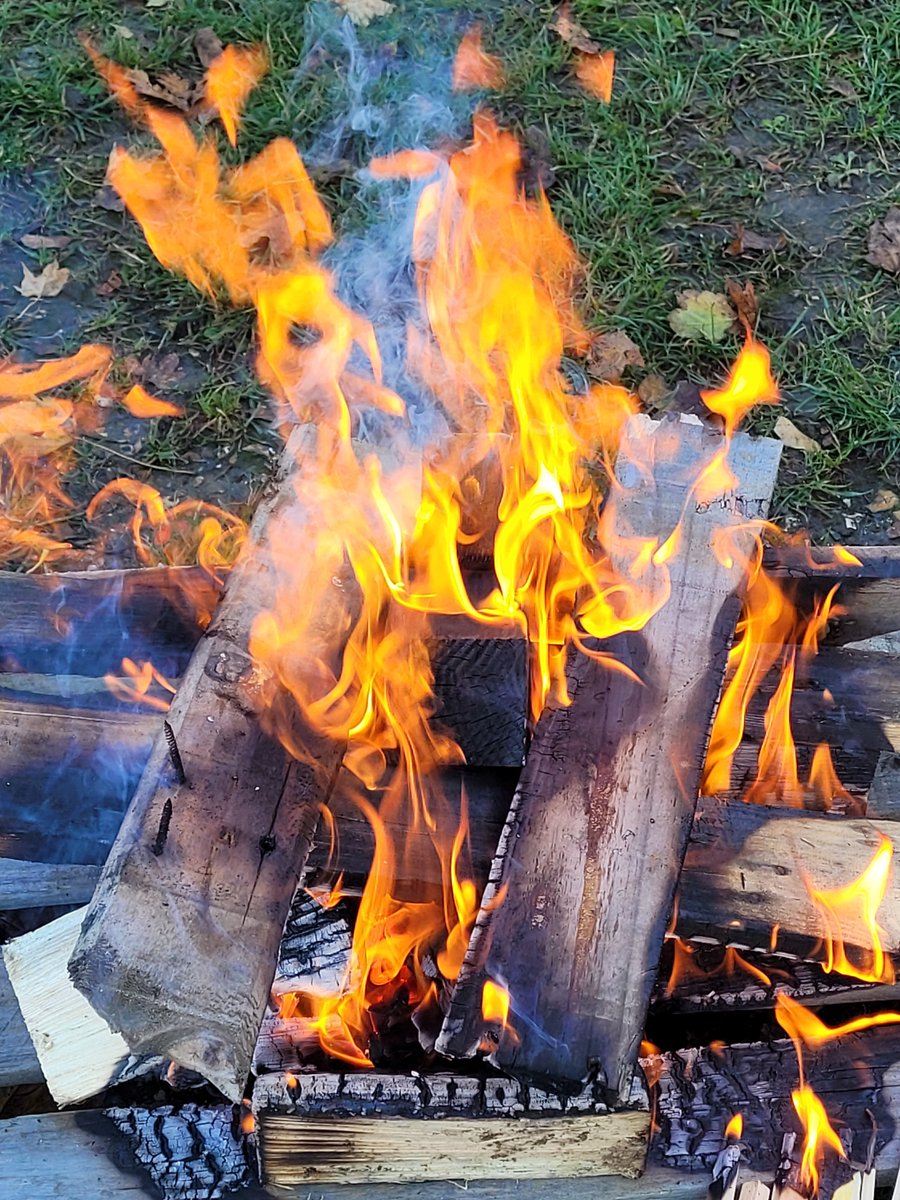 MrsgreenLHS's tweet photo. Campfire time and stories in Team Palm @HeadLHS @MissBurrellLHS @MissBanksLHS @MissDunworthLHS @DelginovaMonika @LHS_Watford https://t.co/gdX1t4o92t