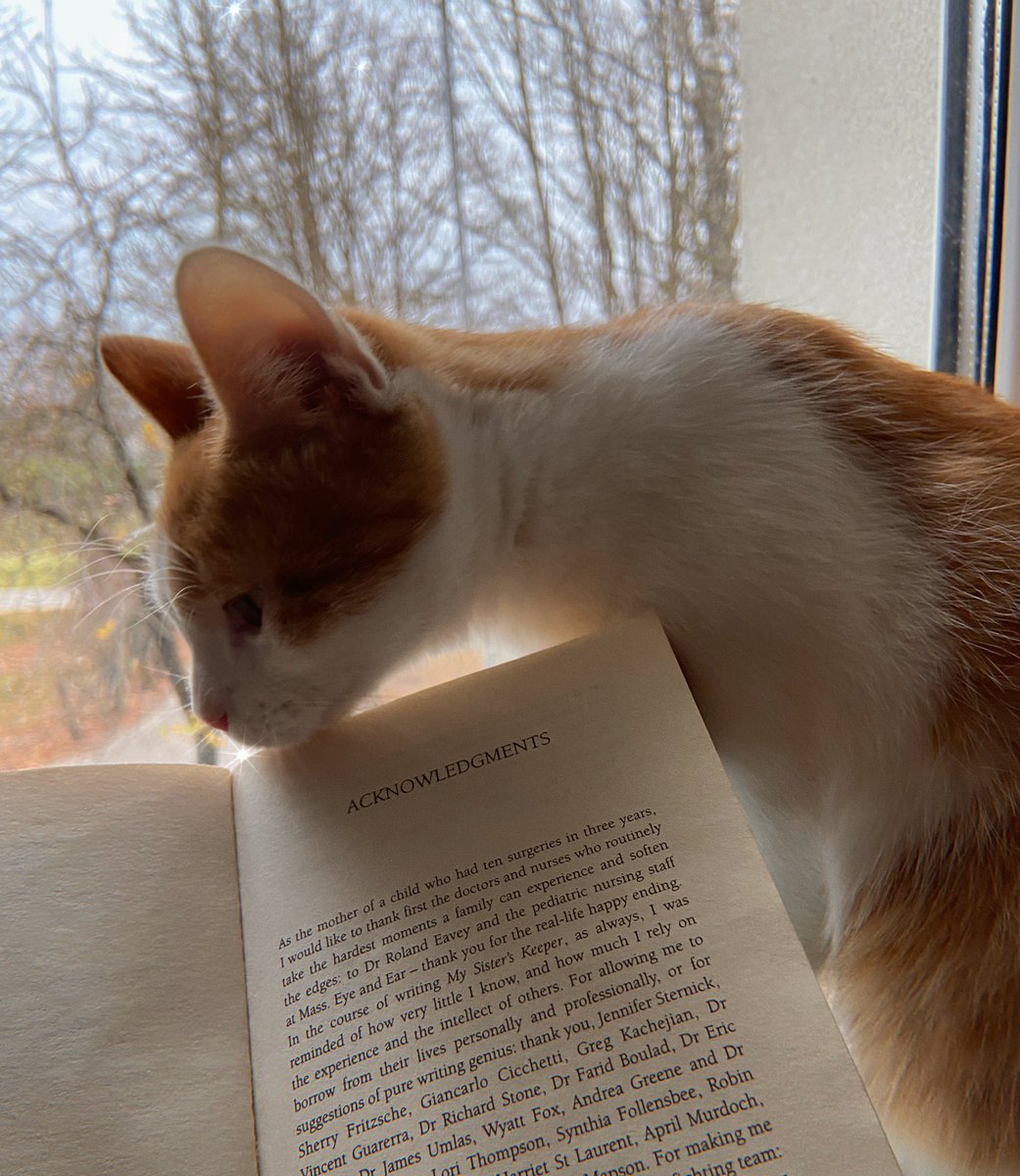 kudelocka's tweet photo. Reading in a pleasant company is much better than alone 
Hope I’ll do it without tears🤭
#jodipicoult #mysisterskeeper #kittensoftwitter #autumnvibes #readingcommunity #QuarantineLife #lockdown @BookwormsOf https://t.co/KGmRRji4oe