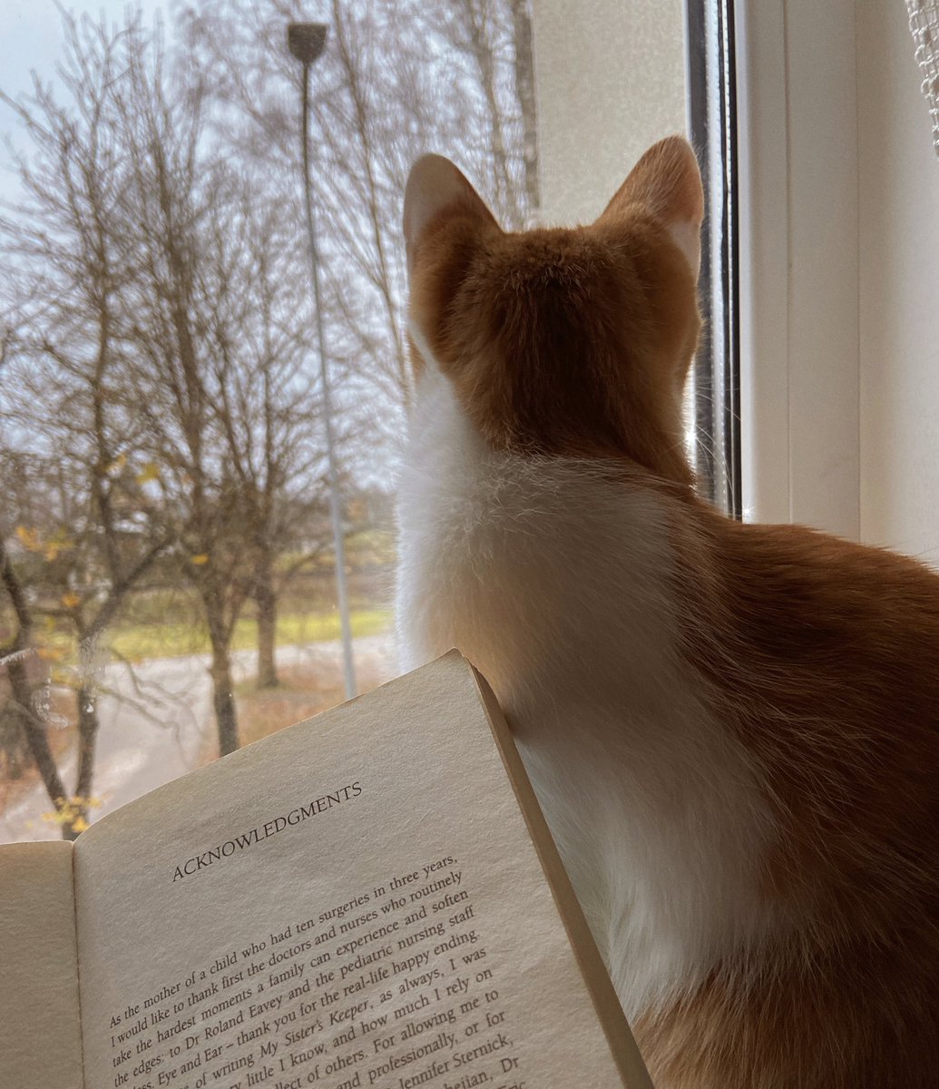 kudelocka's tweet photo. Reading in a pleasant company is much better than alone 
Hope I’ll do it without tears🤭
#jodipicoult #mysisterskeeper #kittensoftwitter #autumnvibes #readingcommunity #QuarantineLife #lockdown @BookwormsOf https://t.co/KGmRRji4oe
