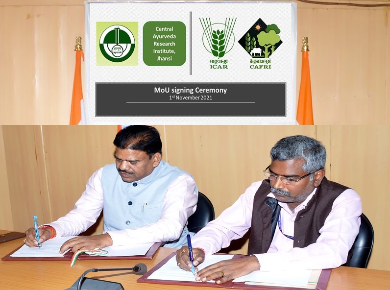 IcarCafri's tweet photo. @icarindia @arun703 #icar #icarcafri #MOUSigningCeremony #ethnoforestry #livlihoodpromotion #NationalAyurvedaDay #AyurvedaDay https://t.co/VgxPCtxgy6