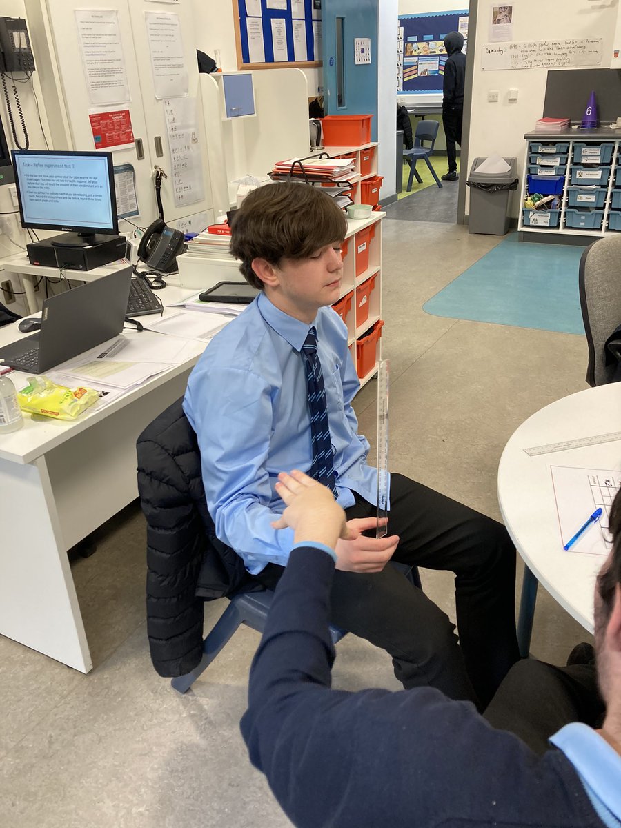 ALS_KS4's tweet photo. Class Australia exploring the nervous system looking in particular at reaction time and our senses! #rulerdroptest #fastreactions https://t.co/XQQfas7uuh