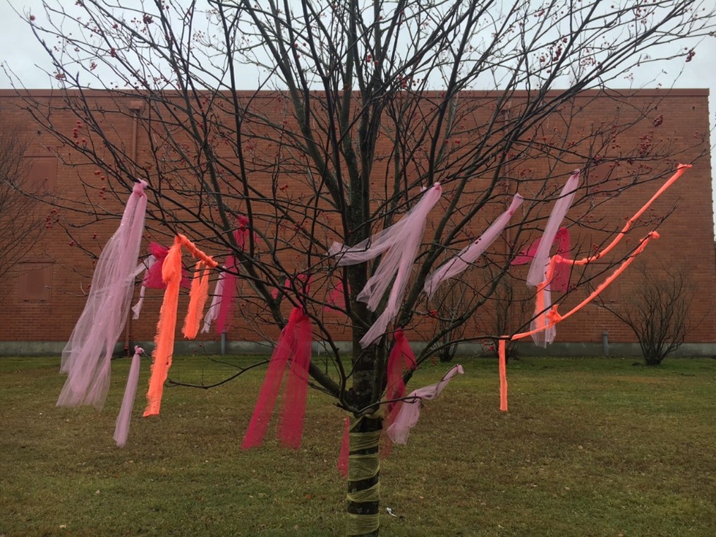 Kuvassa 20 vuotta sitten Joensuuhun istuttamani pihlaja, johon joensuulaiset ovat nyt saaneet kiinnittää viestejä päättäjille yhteistötaideteoksena. Näinkin voi viestiä!