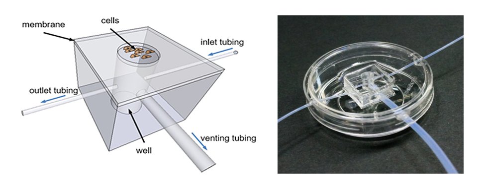 josbaema's tweet image. 🧬📢Fabrication of a versatile polydimethylsiloxane chip for cardiac and lung tissue in vitro modeling💙🧫🔬

labmethods.org/2021/10/26/fab…

🔬🧬A method found in labmethods.org 🧬🔬

#Biofabrication #Labmethods #Cardiac #Bioprinting #lungs #LOC #OOC