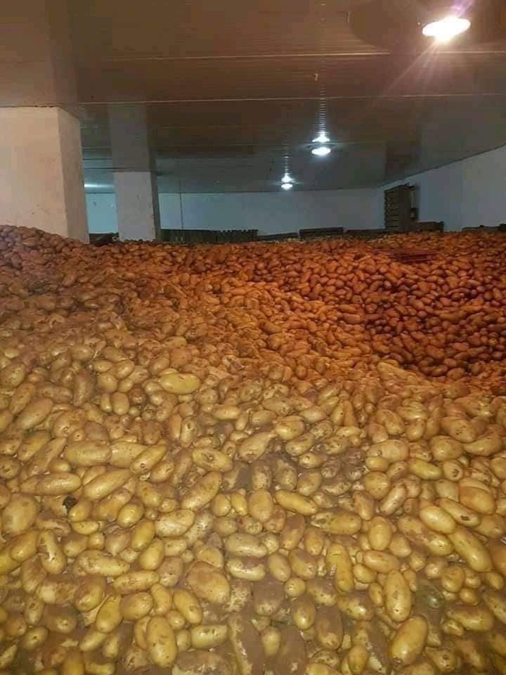 هذه هي خدمتي انا 
و من فظلكم الخاص ممنوع 😂
😂😂🙊🙊🙊⛔️
 #جواد_الجابر