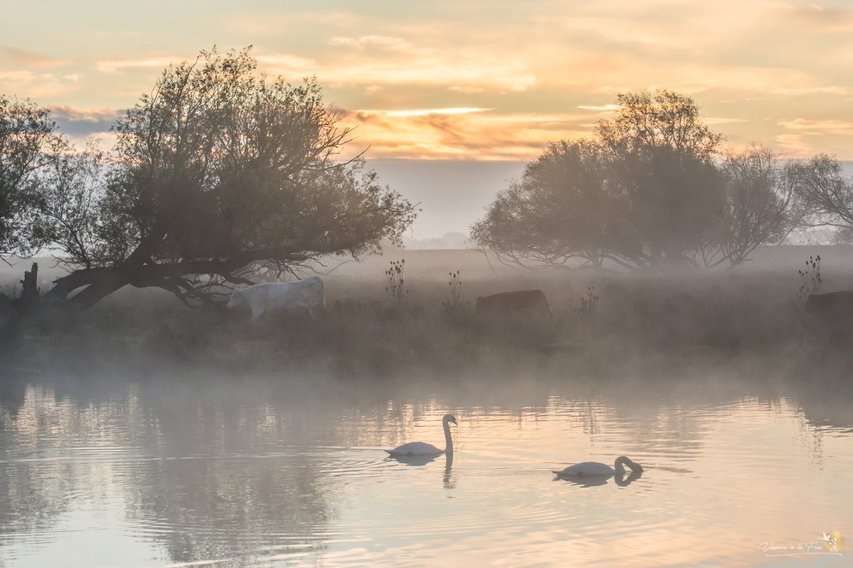 VeronicaJoPo's tweet photo. One of those truly beautiful cold and misty sunrises today 🧡🥰🧡
Ely, Cambridgeshire 
#sunrise #ElyRiverside #thefens
@StormHour @ChrisPage90 @WeatherAisling @SpottedInEly @BabylonArtsEly https://t.co/Q9gNnVxo7g