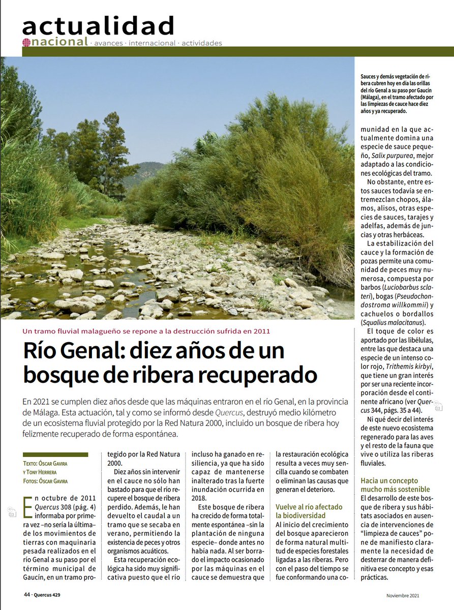 Cirefluvial's tweet photo. Nuestros socios Óscar Gavira y @TonyHerrera8 publican este artículo en la Quercus de este mes de noviembre sobre el río Genal (Málaga) #limpiezasderios #rioGenal #Genal
https://t.co/J7I9sJQ4SR @RevistaQuercus https://t.co/subMu4DwZt