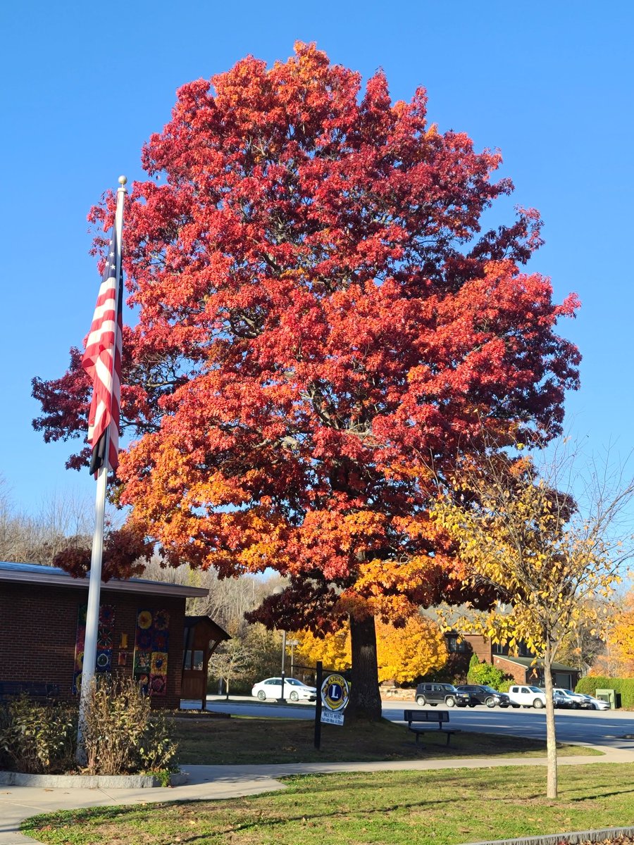 MrsLostInPlace tweet media