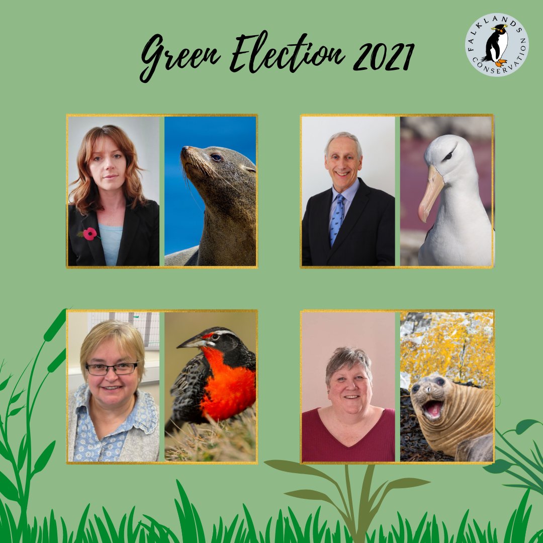 FI_Conservation's tweet photo. 📣2 DAYS TO GO🌿📣Last week the #WatchGroup asked the candidates questions about their ideas for the environment, crucially, what #Falklands animal would they be and why? We got some interesting answers🐧🐳🦅For their full responses click here - https://t.co/XGbm25qryc https://t.co/zbkBbxgThK