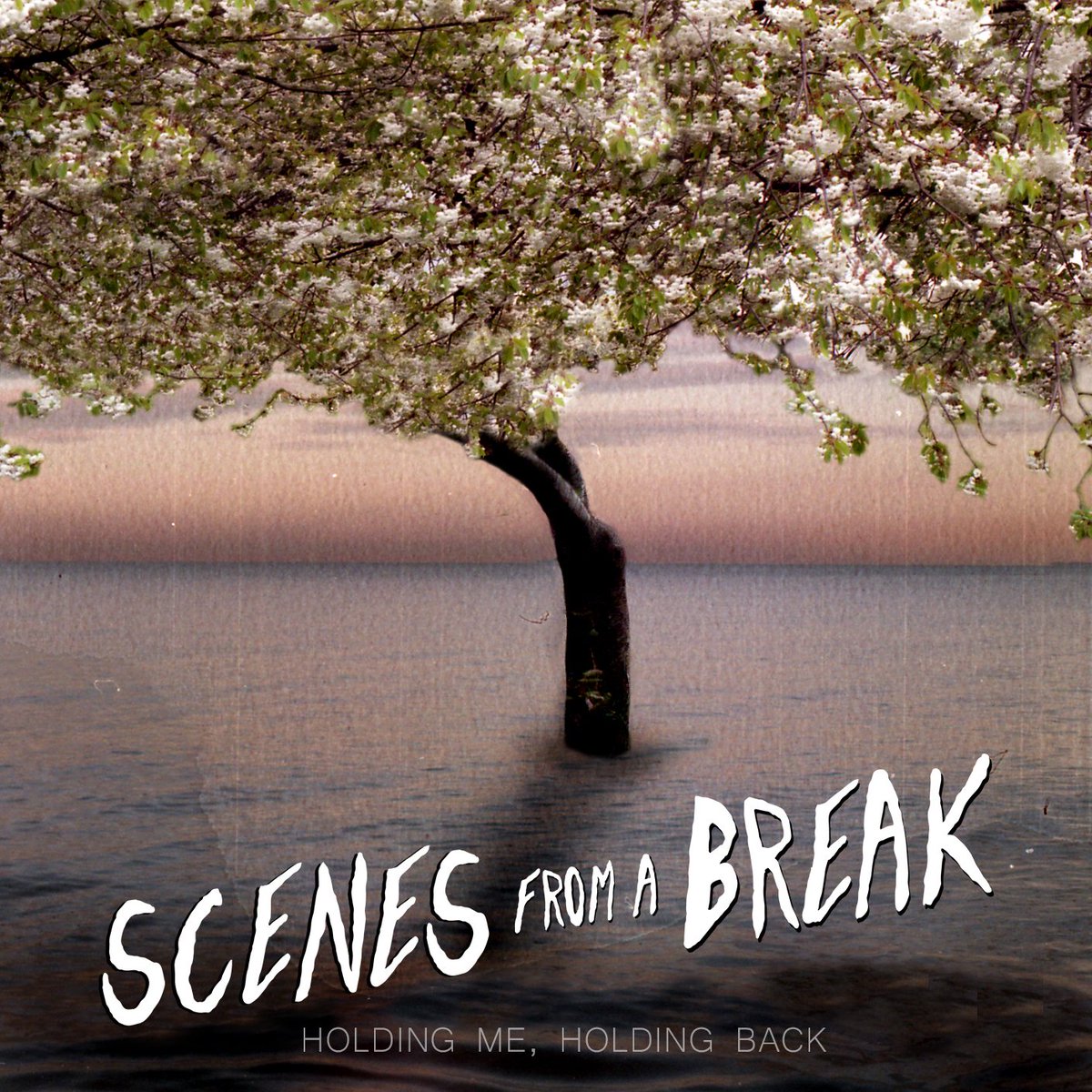 Holding Me, Holding Back
5/11/2021 
Pre save here 🌳💚 distrokid.com/hyperfollow/sc…