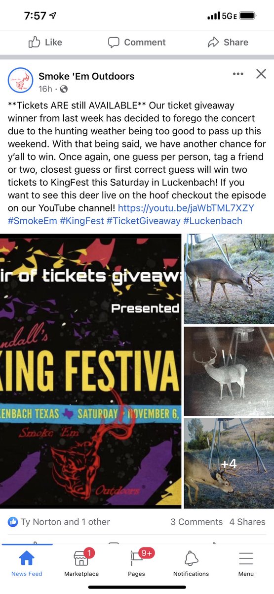 SmokeEmOutdoors's tweet photo. Head over to our Facebook @SmokeEmOutdoors and check out our giveaway!!‼️A chance to win tickets to @RandallKingBand KING FEST‼️‼️ #smokeem #kingfest #Giveaway https://t.co/1e3cgqqbxj