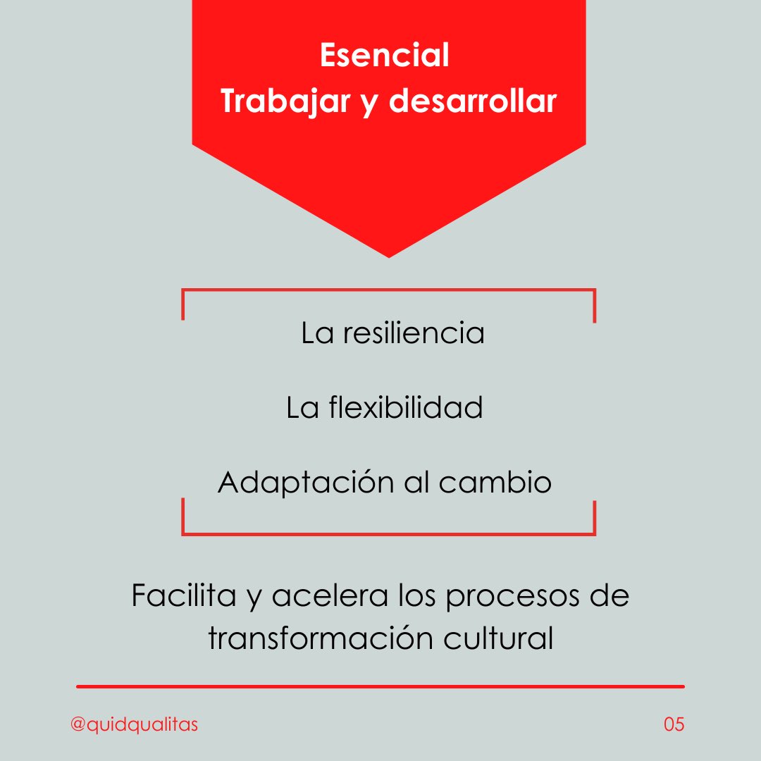 QuidQualitas's tweet photo. ¿Estás de acuerdo con que necesitamos esta transformación para crecer? ¿Apuestas por ello? ¿Por qué?
#desarrollo #negocio #Atrevete #Cultura https://t.co/cML59P9ua5