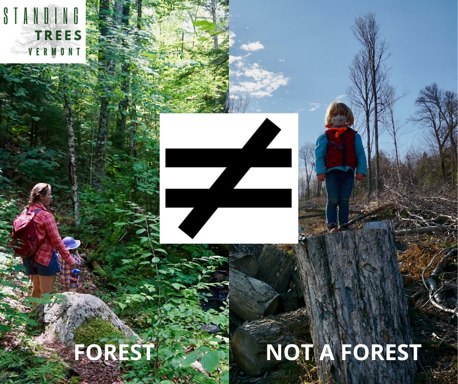 zackpporter's tweet photo. The news from #COP26 this morning is all about forests. Newsflash: logging is not a climate solution. We need to protect nature from logging, not for logging. #LetThemGrow #KeepItInTheForest #ForestDefenseIsClimateDefense @POTUS @Gina_McCarthy @ClimateEnvoy @SecVilsack https://t.co/W8uZDPvyVA