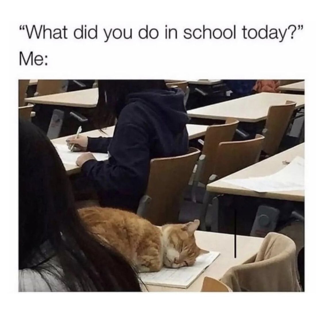 introvertsmemes's tweet photo. Always https://t.co/RxcX7J11TC