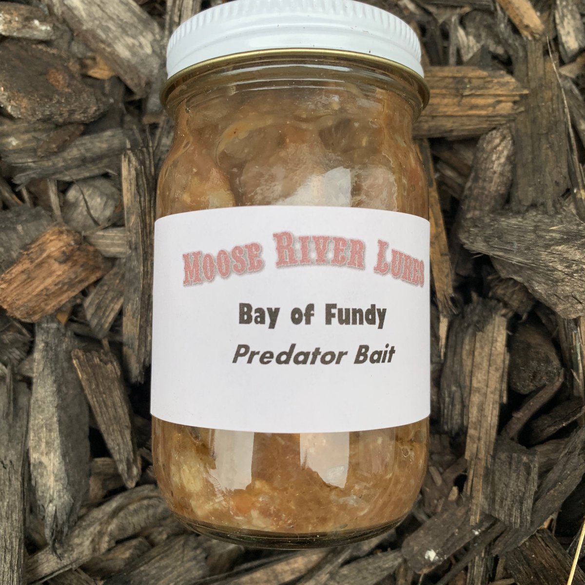 UnbearableLures's tweet photo. Bay of Fundy Predator Bait is back in stock! 

Pick some up before we are sold out again. https://t.co/sujOAUhAXa 

#coyotebait #coyotetrapper #coyotetrapping101 https://t.co/2wSNdPz1L2