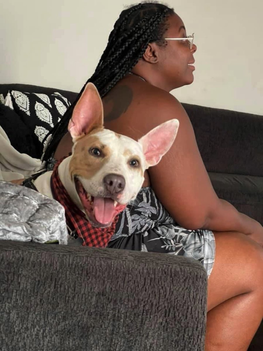 __JustKara__ tweet media