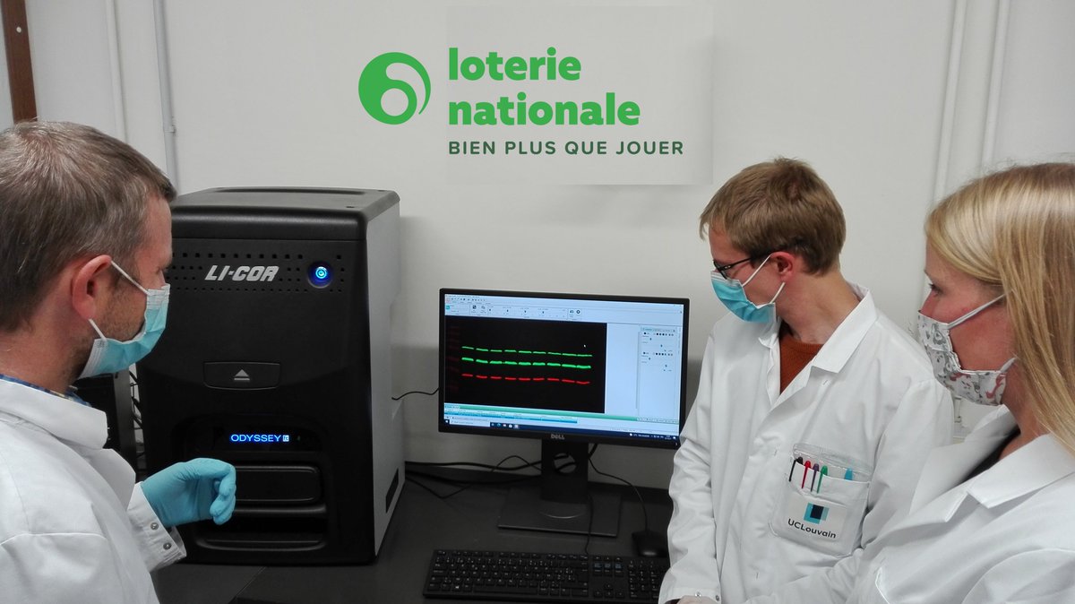 deDuveInstitute's tweet photo. Merci @LotNat_Belgique &amp; ses joueurs pr le soutien à la recherche sur le SARS-CoV-2! T. Michiels &amp; co ont acquis un app. de haute précision: l'analyse facilitée des méca. de l'infect. virale pourrait mener à l'ident. de nouv. cibles pr le dév. de 💊 antiviraux. #bienplusquejouer https://t.co/0QovEpZjrw
