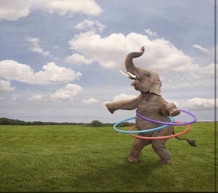 Считалочка про слоников на паутине. Слоник один раскачался в такт. Иллюстрация к стихотворению слон саши черного. Слоник один раскачался в такт. Слоник один раскачался в такт.