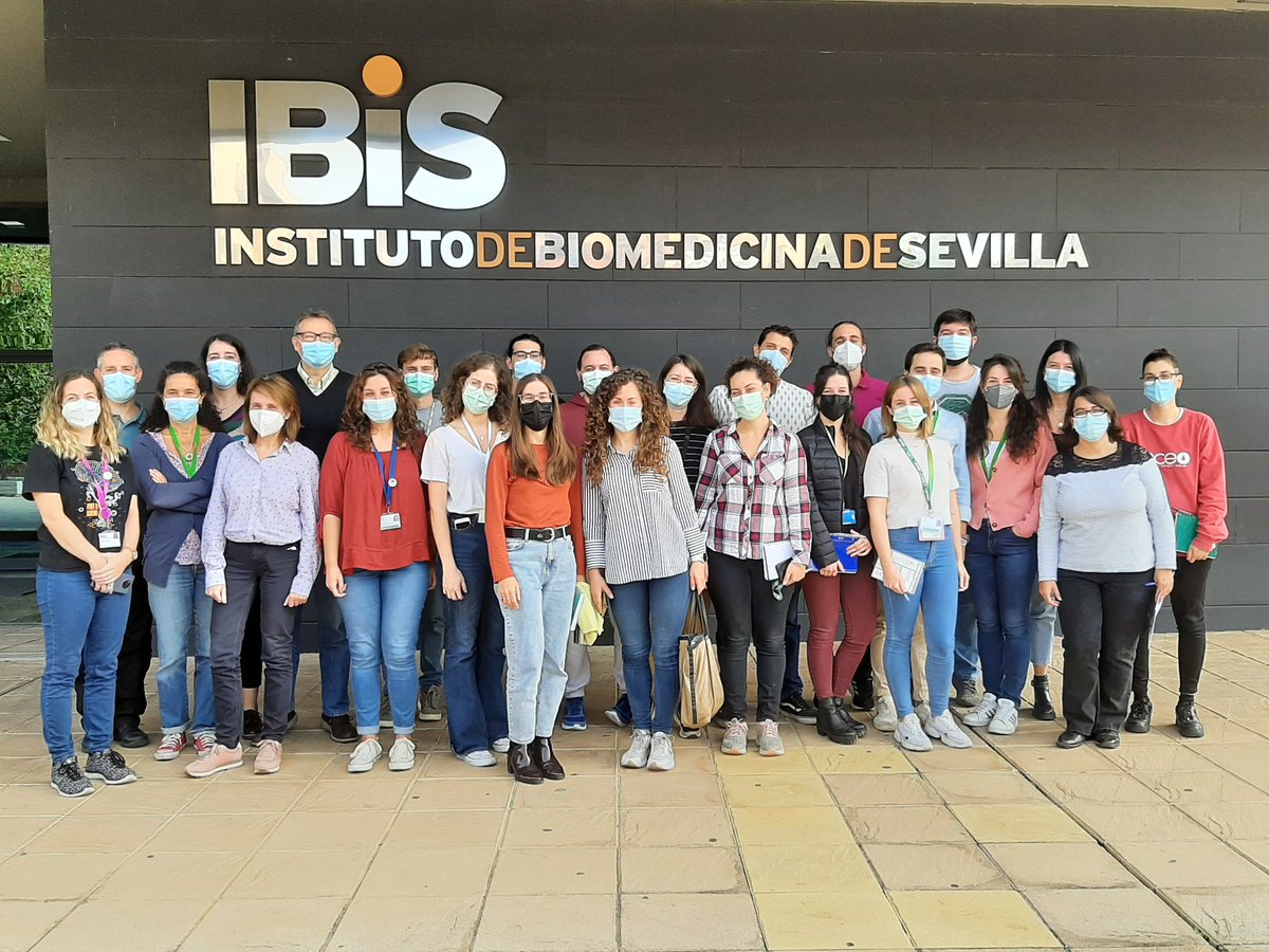 IBiS tweet media
