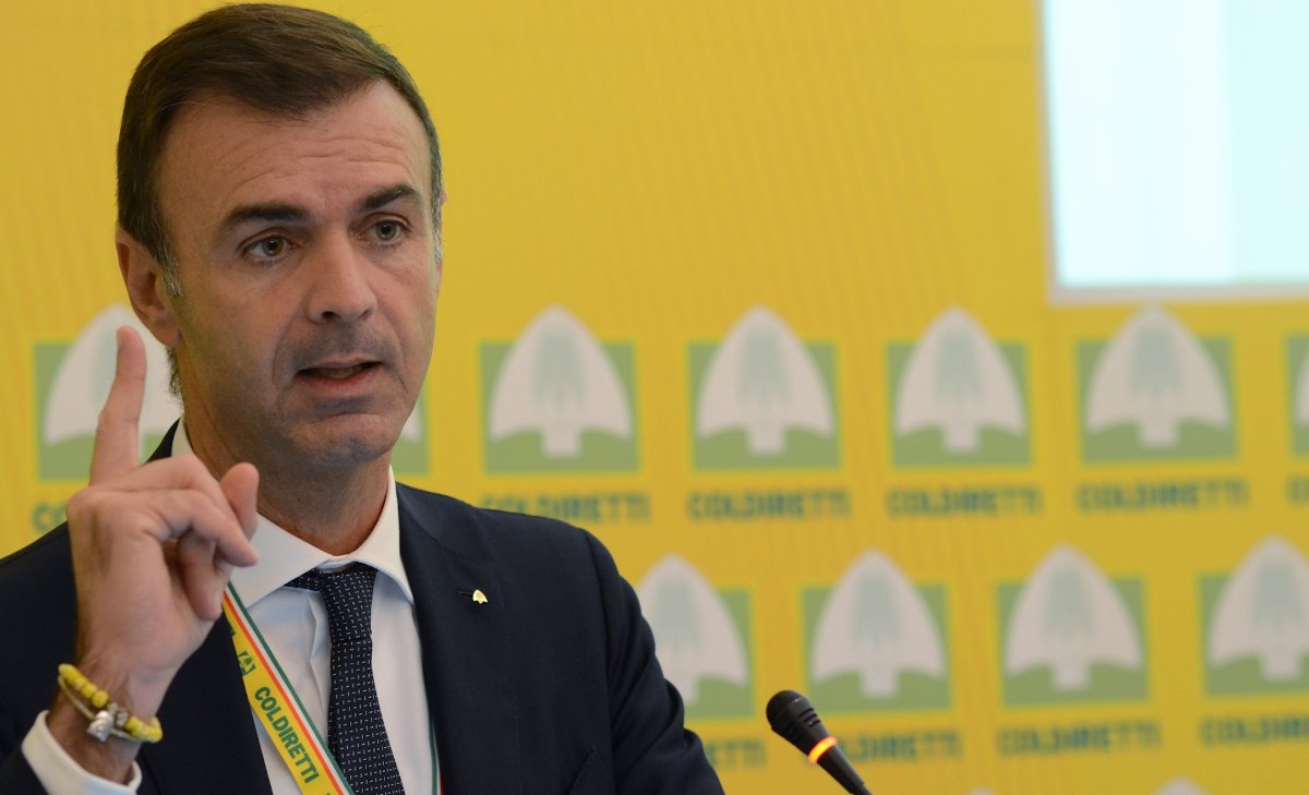 VeronaNews_net's tweet photo. Agriturismo Veneto, è boom. Prandini (#Coldiretti): "Dal #PNRR chiave per il rilancio" – https://t.co/nMgWRf3AKE – #DiegoScaramuzza #EttorePrandini #FondoDiGaranzia #MassimoGaravaglia #ModelloF24 #PMI #RegioneDelVeneto #StefanoPatuanelli #Terranostra https://t.co/ZjDG5c7OP2