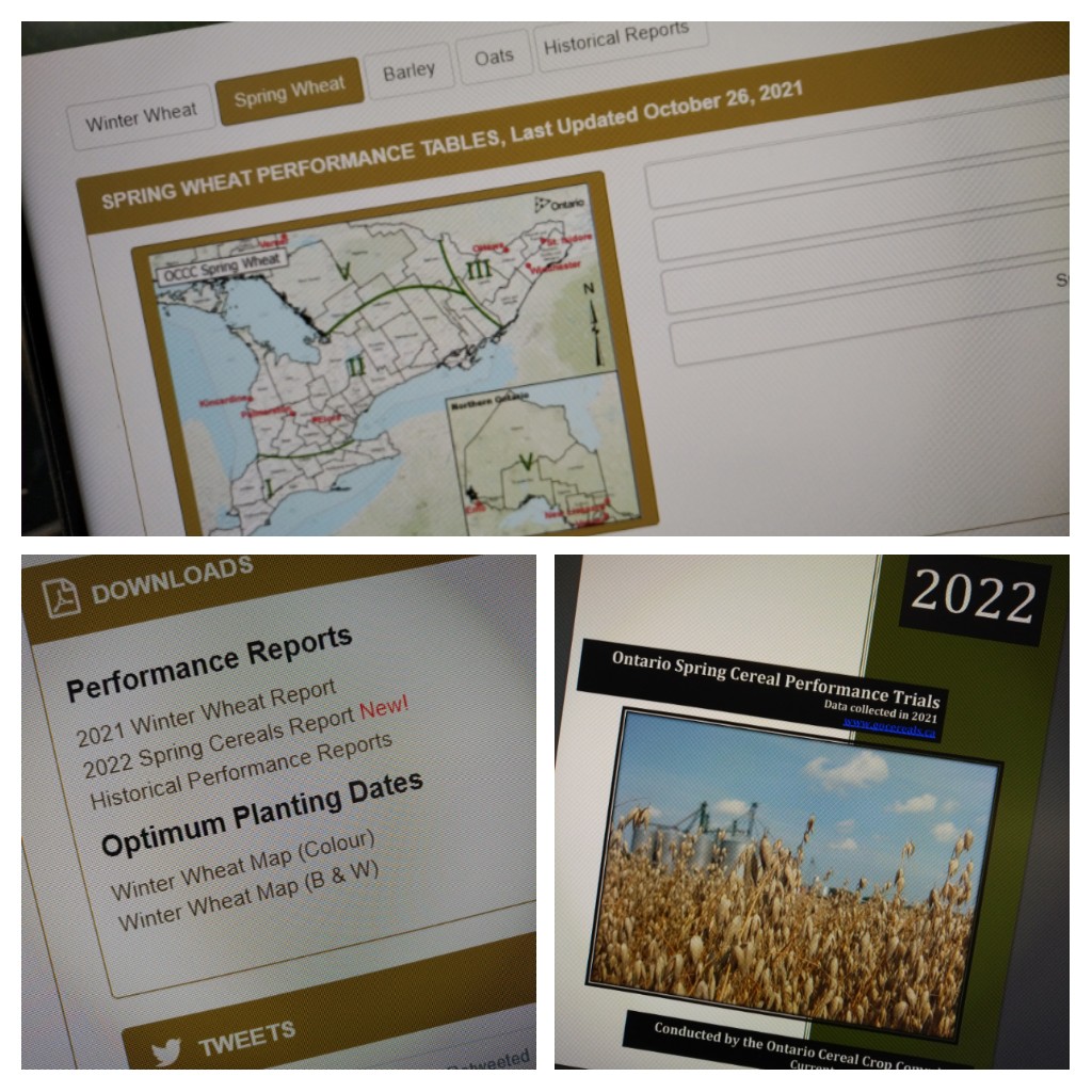 #hotoffthepress! #OCCC spring cereal report now available on the gocereals.ca website Check it out #ontag! <a href="/JoFollings/">Joanna Follings</a> @DavidMo58098371 <a href="/WheatPete/">Peter Johnson</a> <a href="/GrainFarmers/">Grain Farmers of Ontario</a>