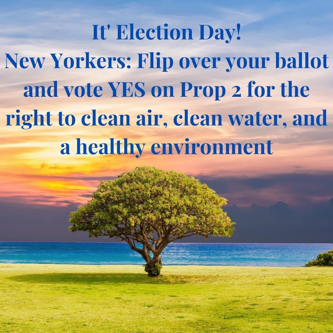citizensenviro's tweet photo. Hey New Yorkers, remember to vote today! Flipping the ballot and voting YES on Prop 2 will add the right to clean air, clean water and a healthy environment to the Bill of Rights in NYS! #VoteYesOnProp2 https://t.co/iv89bTaUFb