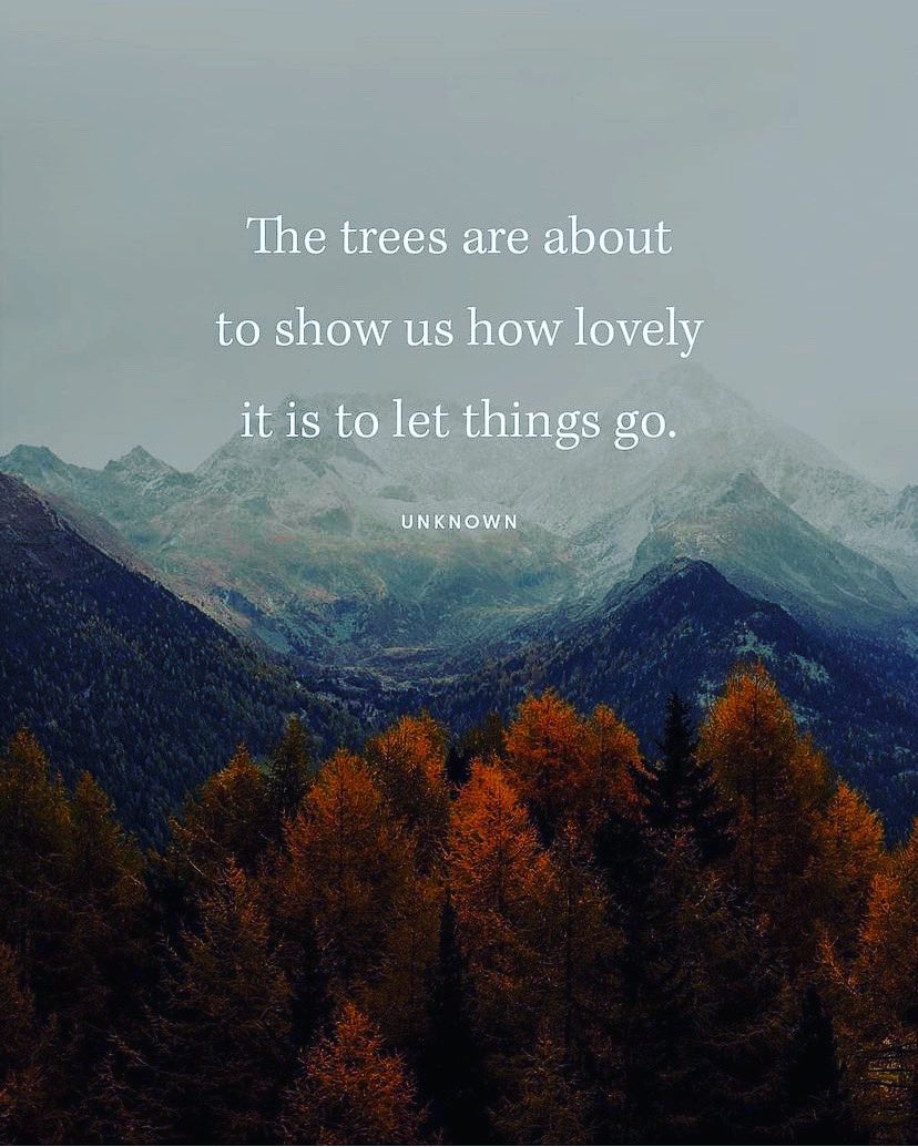 #lettinggo of things that don’t serve you anymore is a truly health thing to embrace! Just watch nature take its course and be the example… #fall2021 #denvercolorado