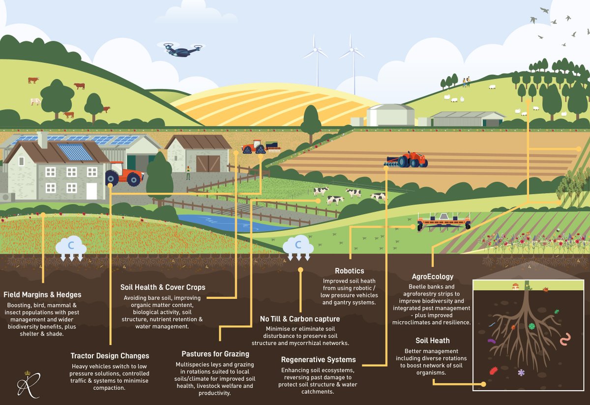 InnovationforAg's tweet photo. Better soil health at the heart of RASE’s Pre-COP26 Brief - Farm of the Future: Journey to Net Zero. 
Soils graphic shows how novel cultivation systems and boosting biological activity will improve our soils. Read the report here: https://t.co/xVIQG19yOx #COP26 #ClimateEmergency https://t.co/KIw6PkLjYk