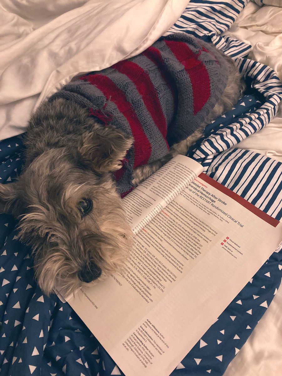 RushNeurology's tweet photo. #rushneuro pets read JAMA neurology in bed! https://t.co/5qa4ZOwyhc