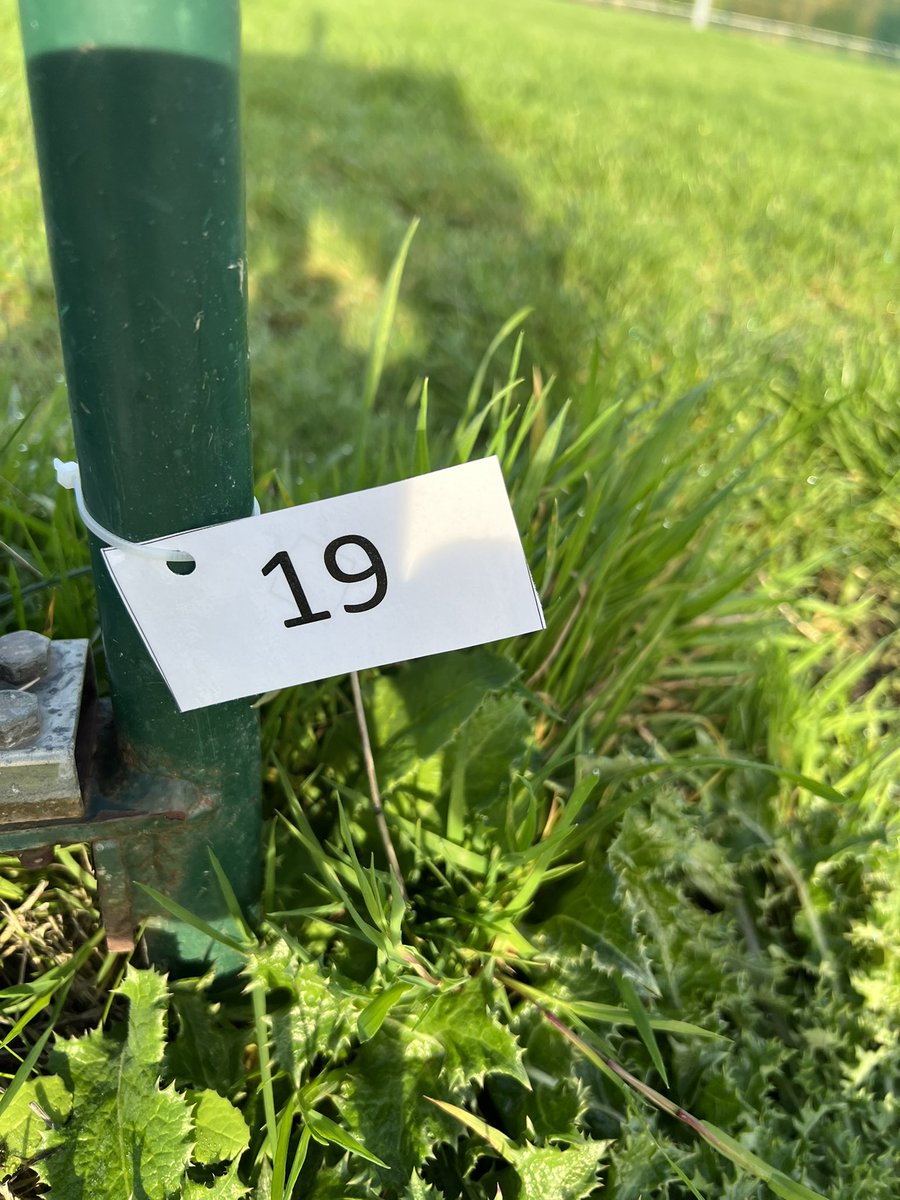 HCScot_PE's tweet photo. Beautiful morning on our grounds. Orienteering blocks in full swing and the department set up some more permanent markers for our learners! 

#HamiltonConfidence #HamiltonGrace #HamiltonPE https://t.co/IboH7q81wY