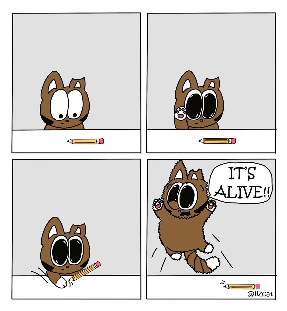 iizcat's tweet photo. Every time Minnie smacks something with her paws… “IT’S ALIVE!!!” https://t.co/5D8nKtYnhs
