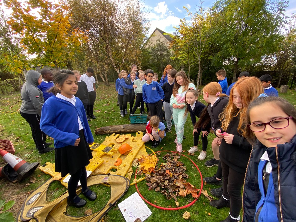 Broomhouse Primary 5 tweet media