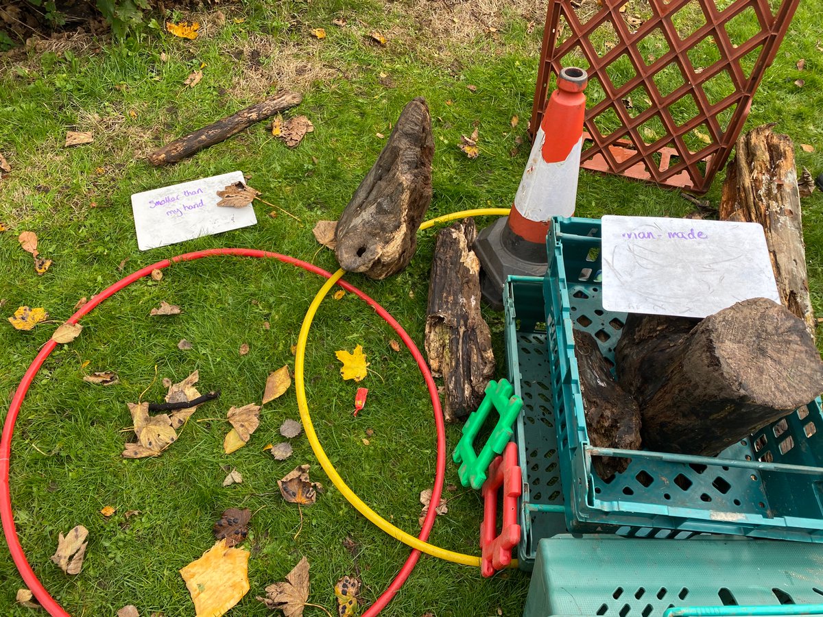 Broomhouse Primary 5 tweet media