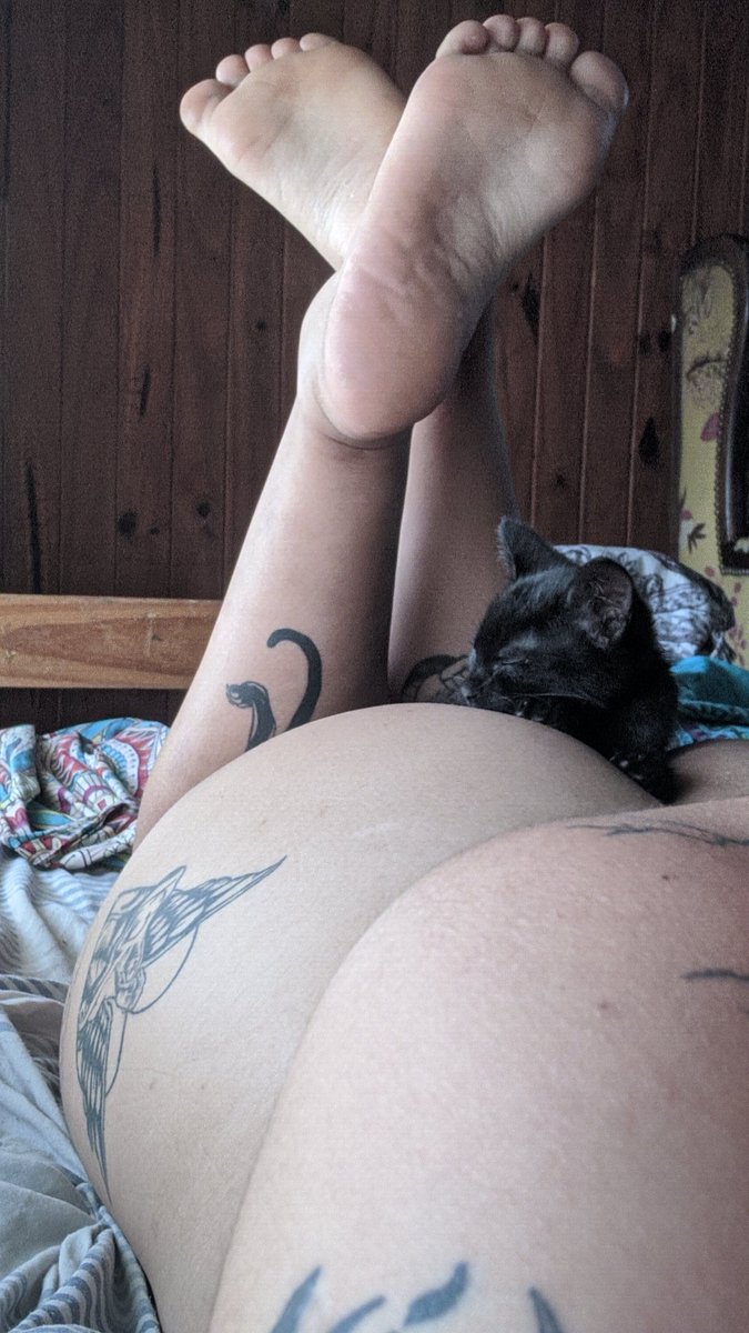 whysykescry3000's tweet photo. alguien más me quiere usar de almohada🥺 https://t.co/0uYVuZ71qe