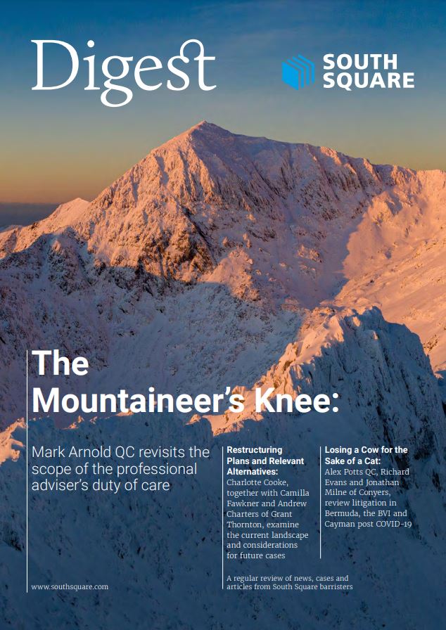 The November edition of the South Square Digest is now available to download on our website!

Click the link below:
lnkd.in/eVYwXg5
#Digest #Restructuring #CIGA #Dovetailing #Brexit