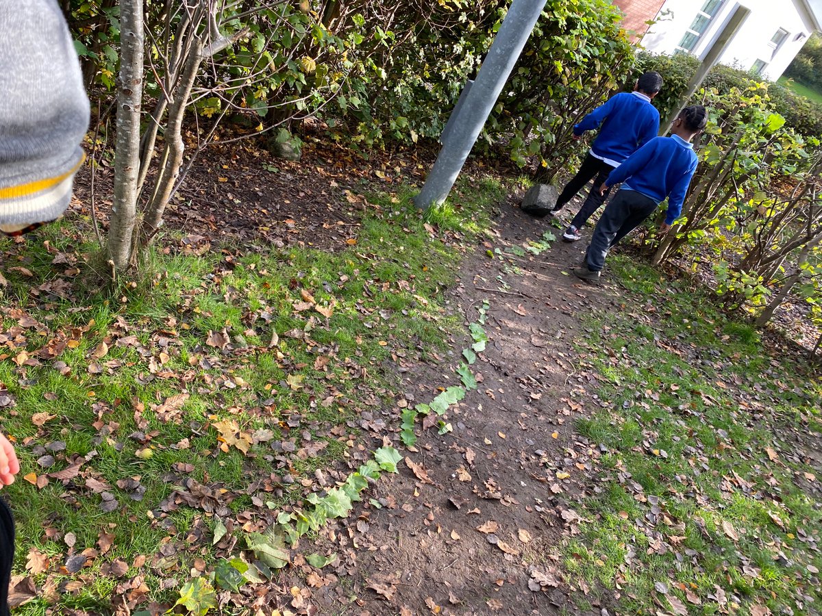 Broomhouse Primary 5 tweet media