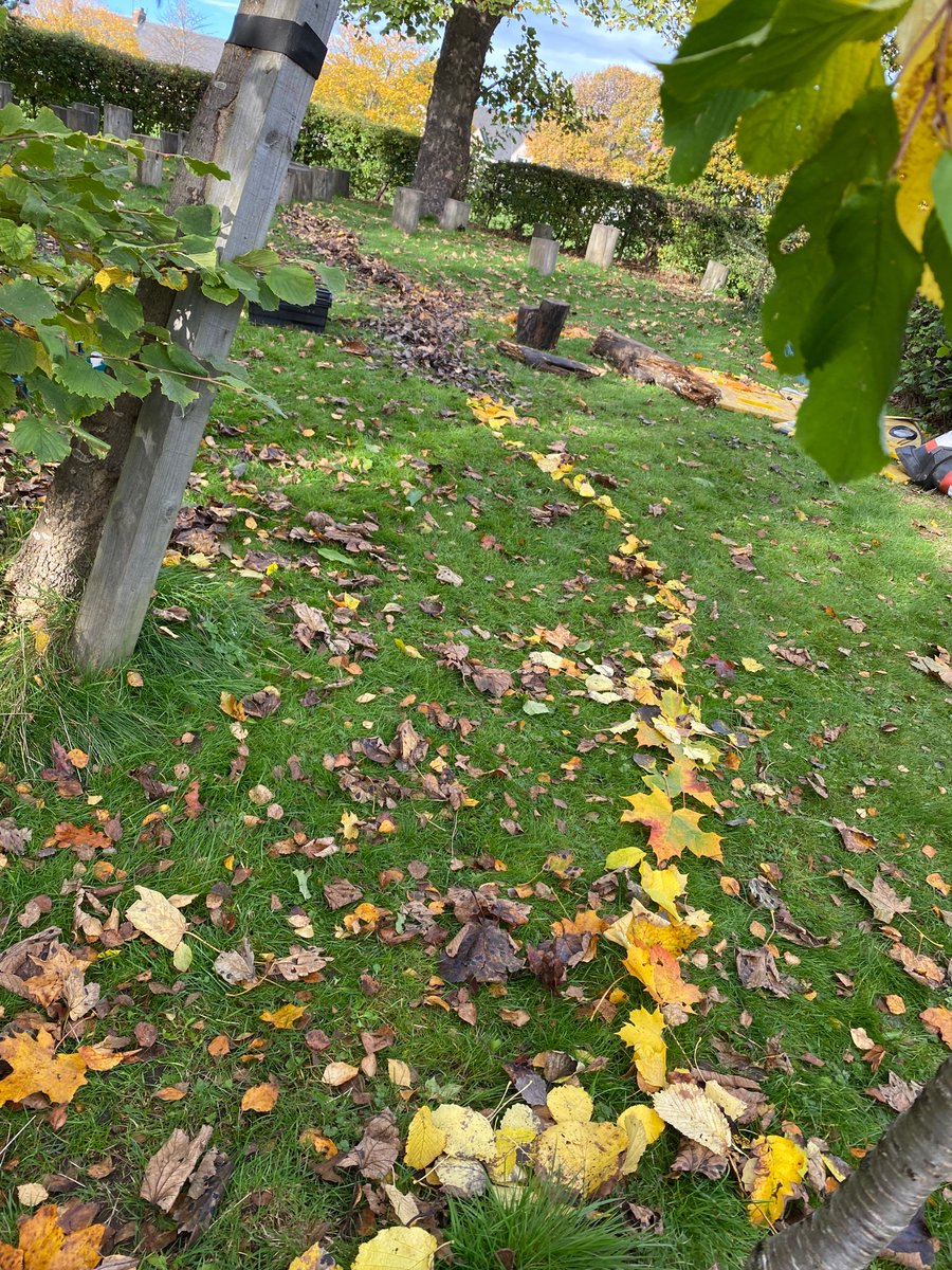 Broomhouse Primary 5 tweet media