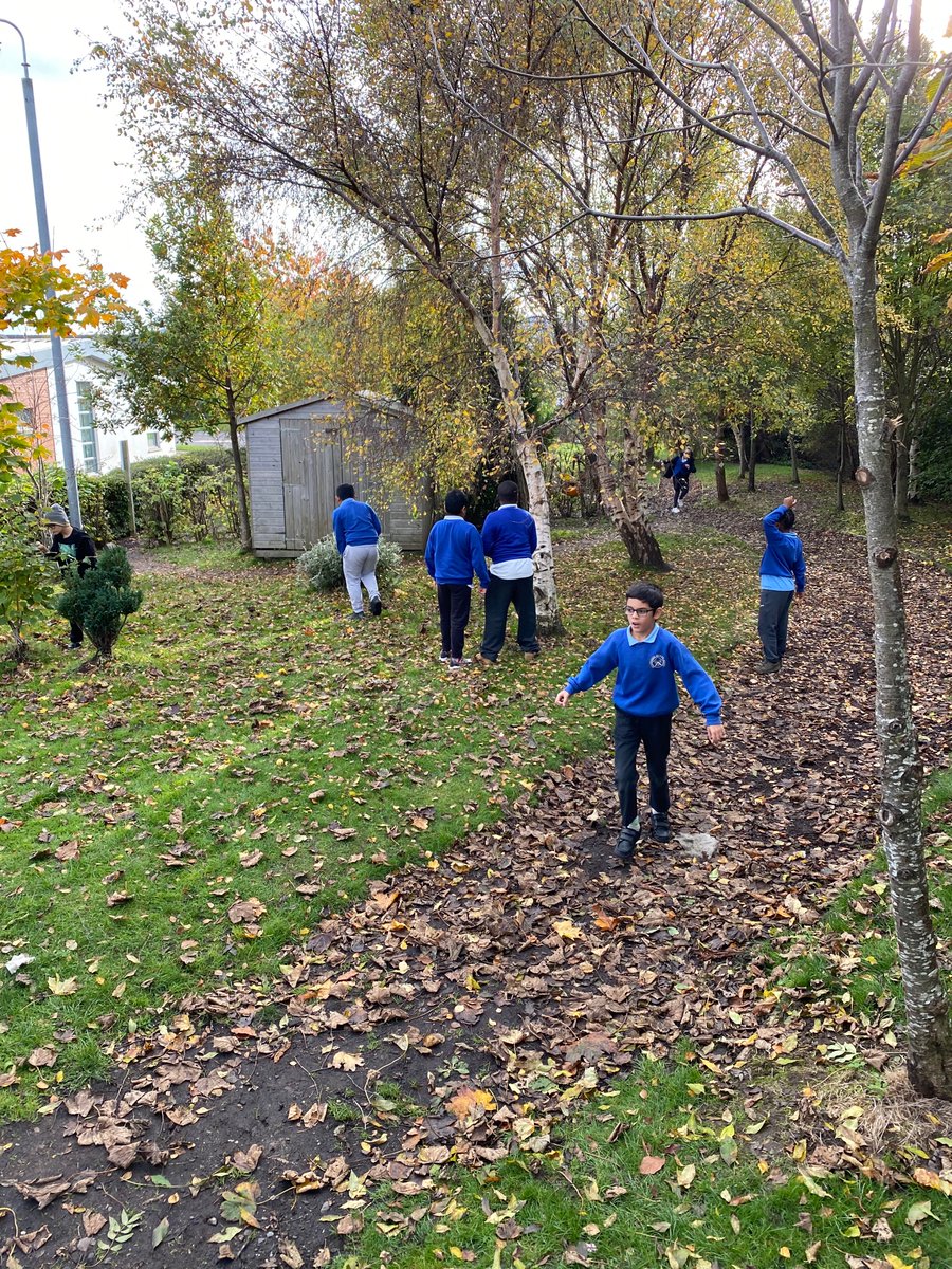 Broomhouse Primary 5 tweet media