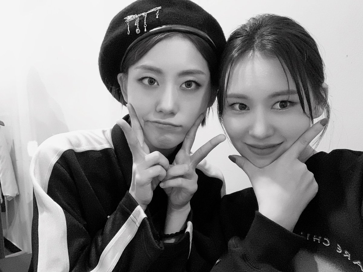 WekiMeki's tweet photo. 🤳✨ ✌✌

#🦊🌈 https://t.co/W63buxi5te