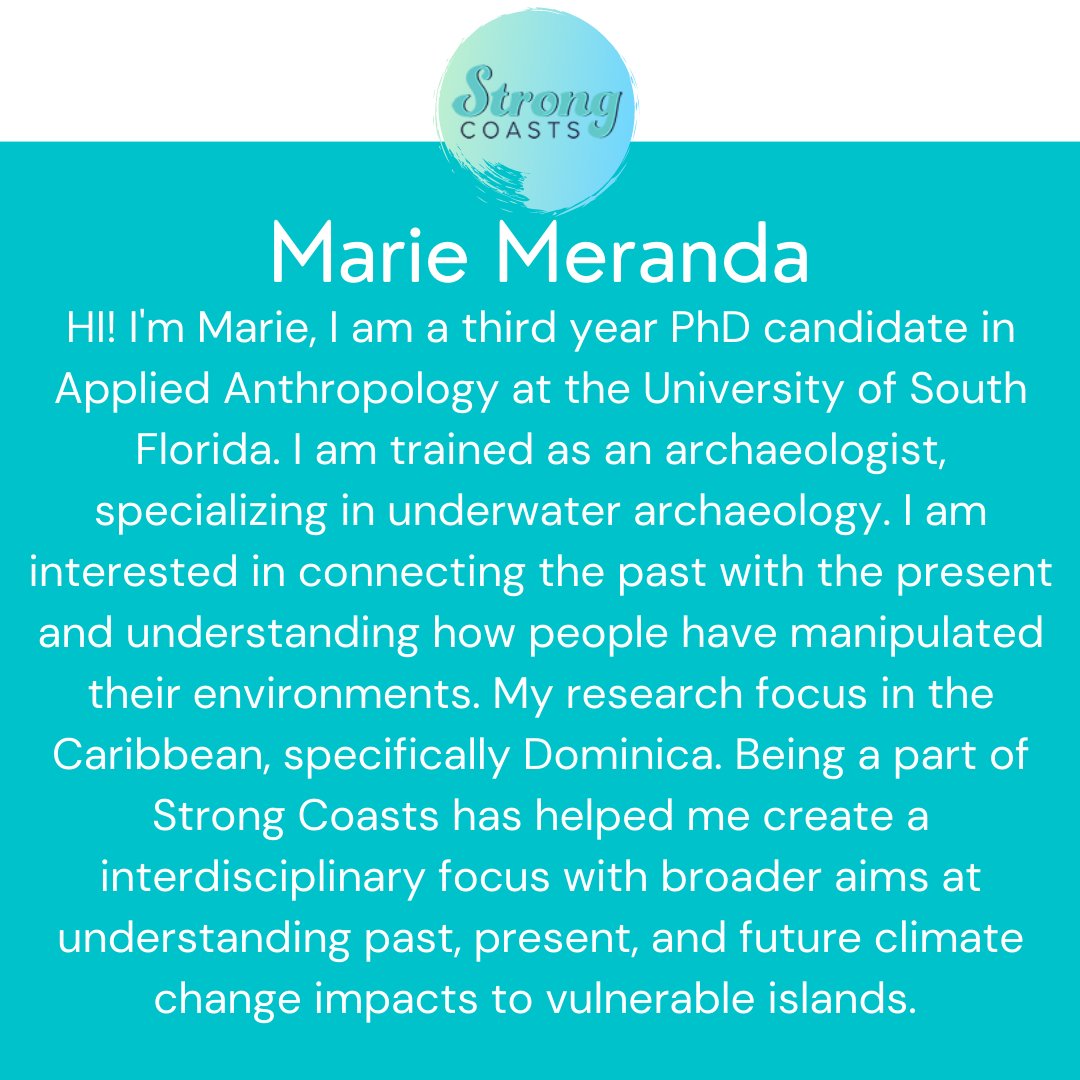 Strong Coasts tweet media