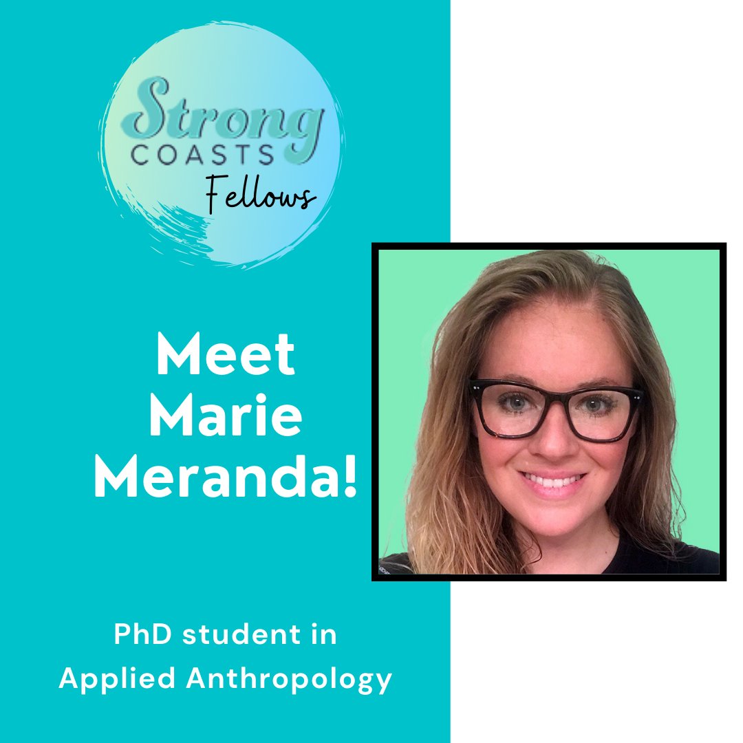 Strong Coasts tweet media