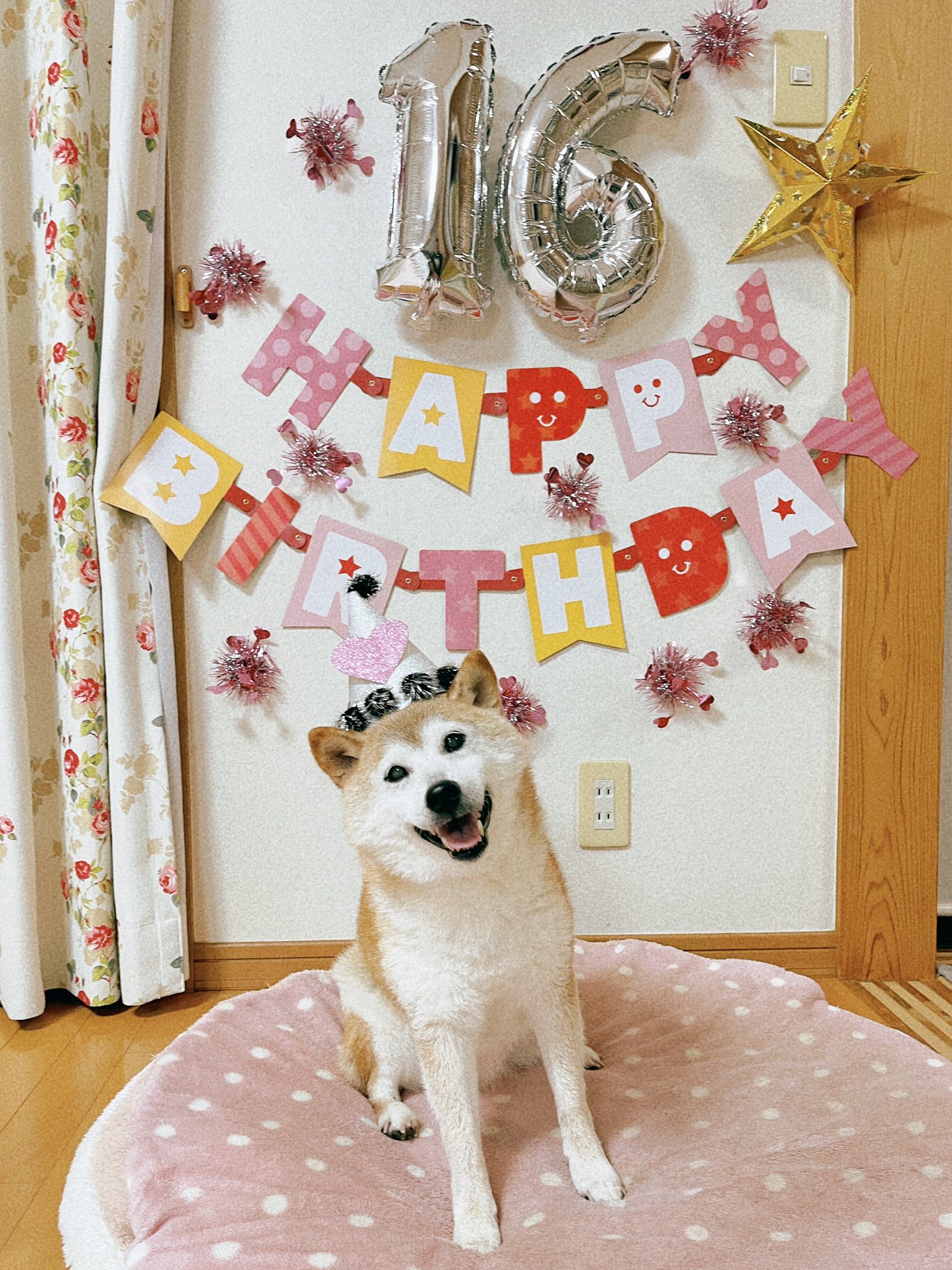 かぼすママ Kabosumama Twitter