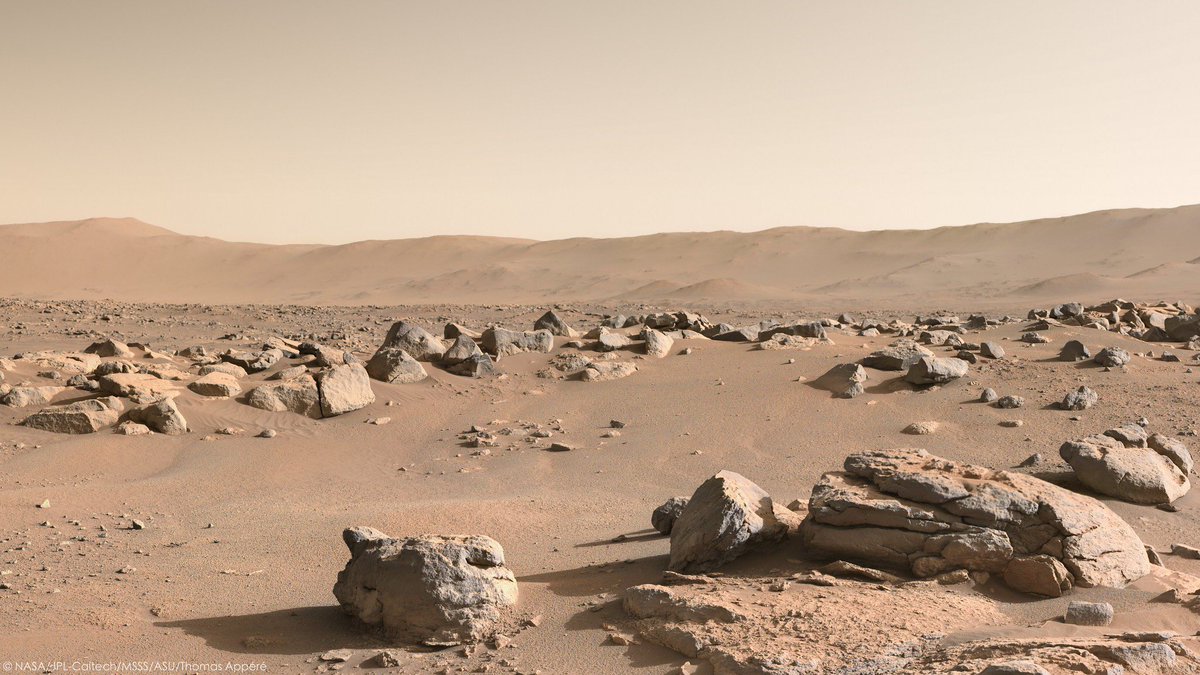 latestinspace's tweet photo. New images of #Mars from Perseverance rover. All of this was once under water 🤯 https://t.co/oIvRVsVwHx