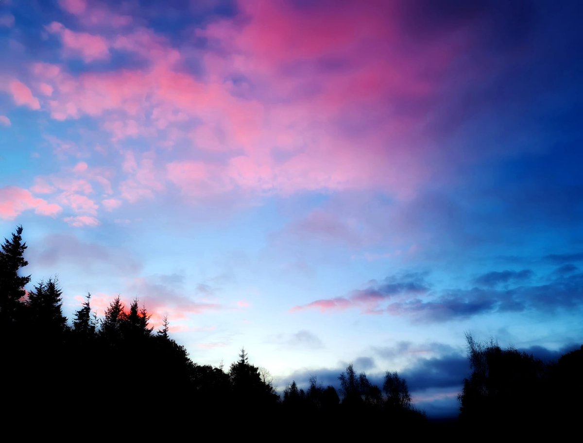 EPPLtd's tweet photo. Beautiful #sunrise this morning @EPPLtd
#sunrise #bushestate #midlothian #inthezone #woods #bluehues #pinkhues #science #analytical #research @MidlothScience https://t.co/0wezahOx3r