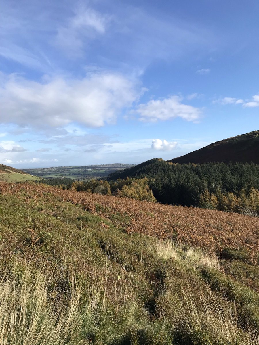 ionarees's tweet photo. #Autumn colours 🍂🔆💛🍁🧣🚶🏼♀️#countrysideview https://t.co/Hgd0MbKs6m