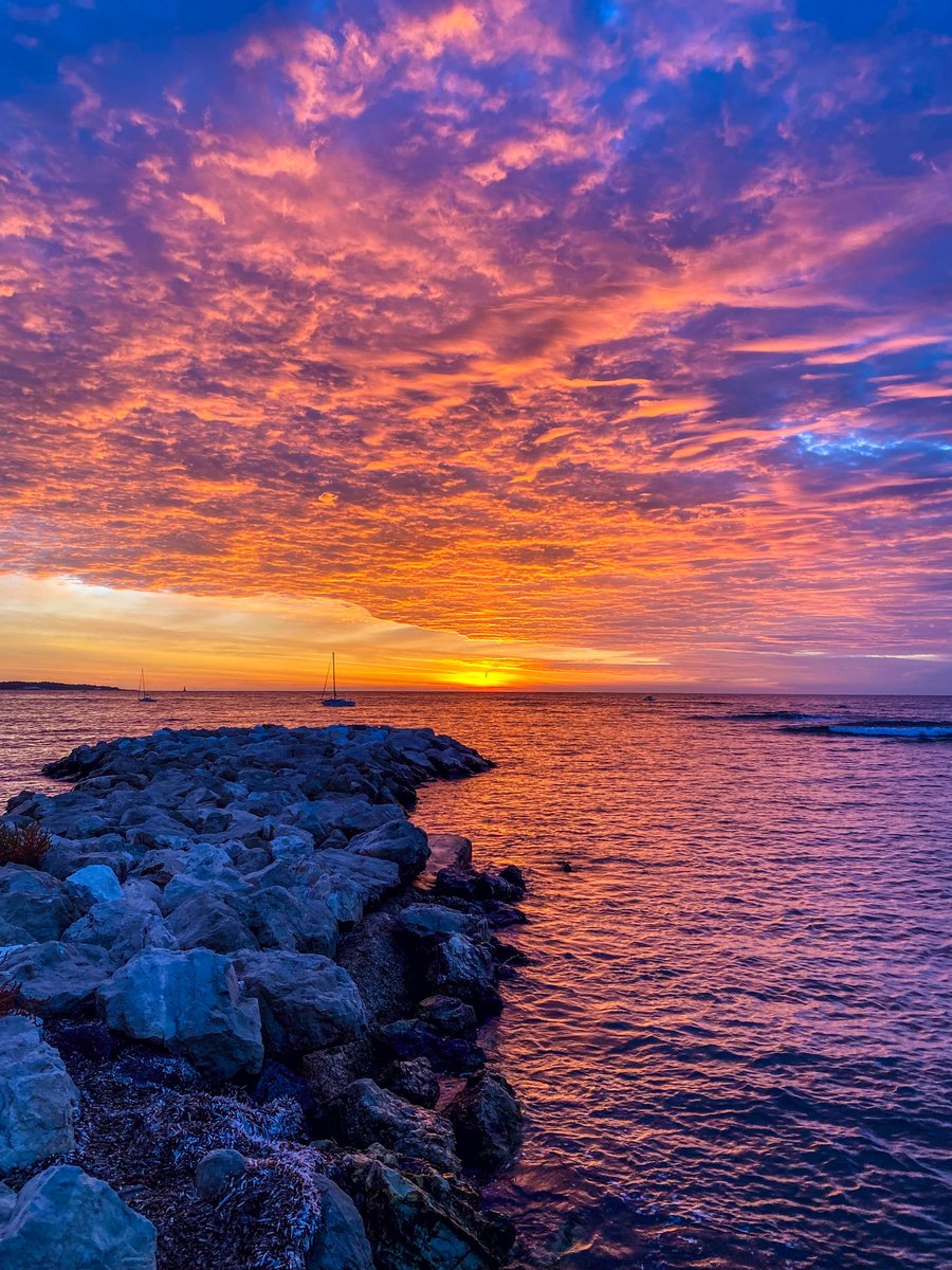 villecannes's tweet image. Bonjour #Cannes #CotedAzurFrance #Cannes2021 #MairieDeCannes_NMA2021

📸 @villecannes