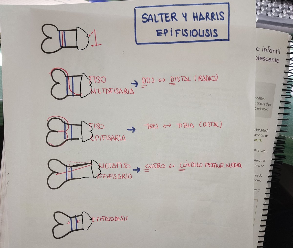<a href="/LaZarzaMIRa22/">La ZarzaMIRa</a> Estaba mal. Te lo he corregido.